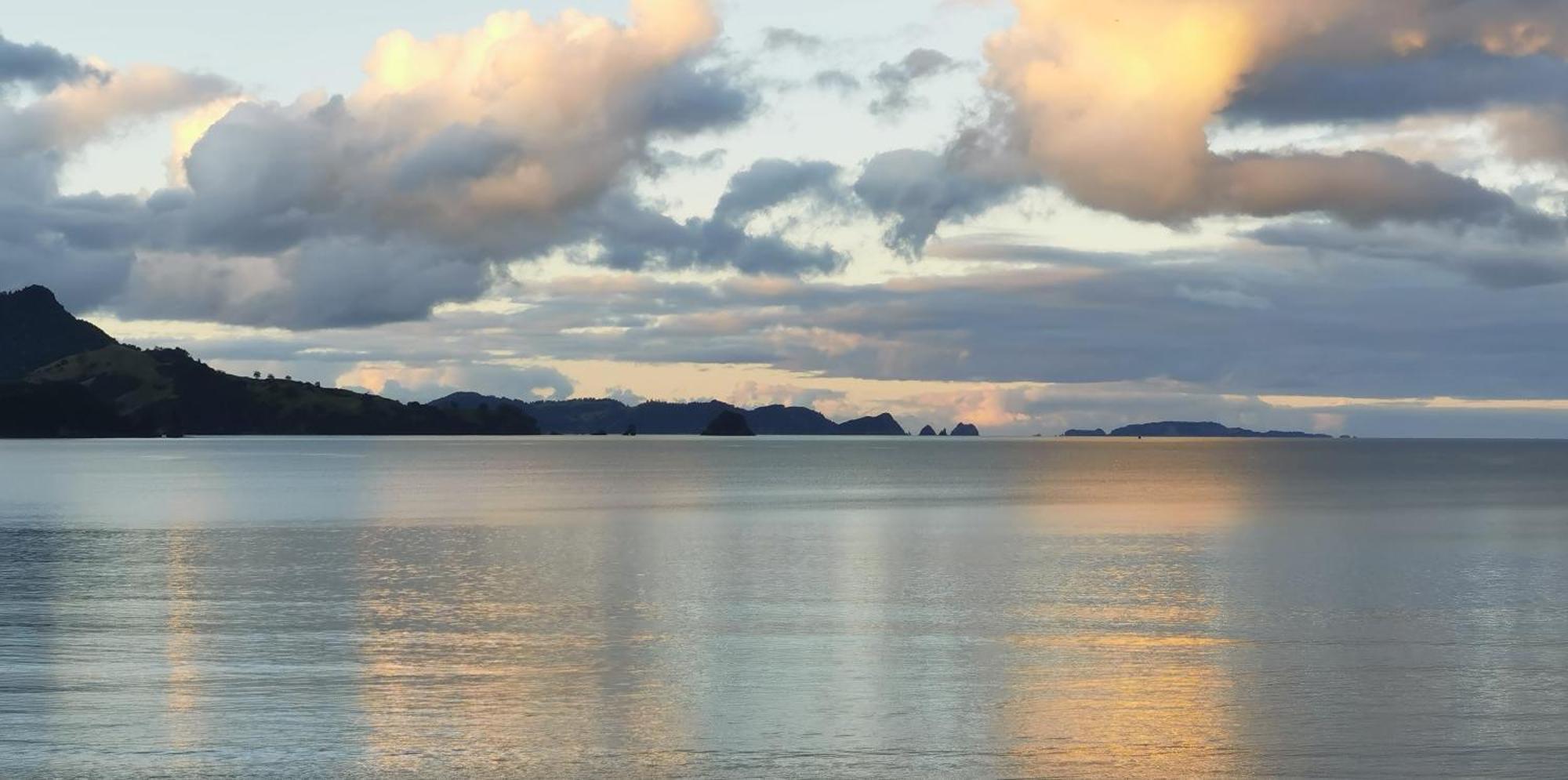 Waterfront Apartments Whitianga Eksteriør billede