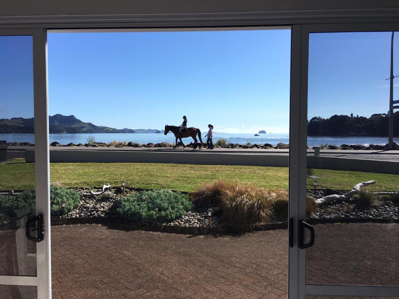 Waterfront Apartments Whitianga Eksteriør billede